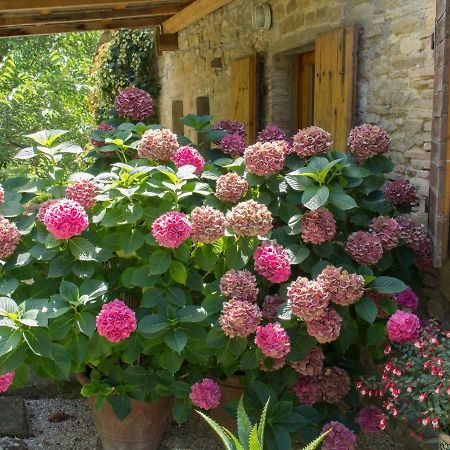 Casa La Valle, Gubbio, Frazione Santa Cristina Bed and Breakfast Exteriör bild