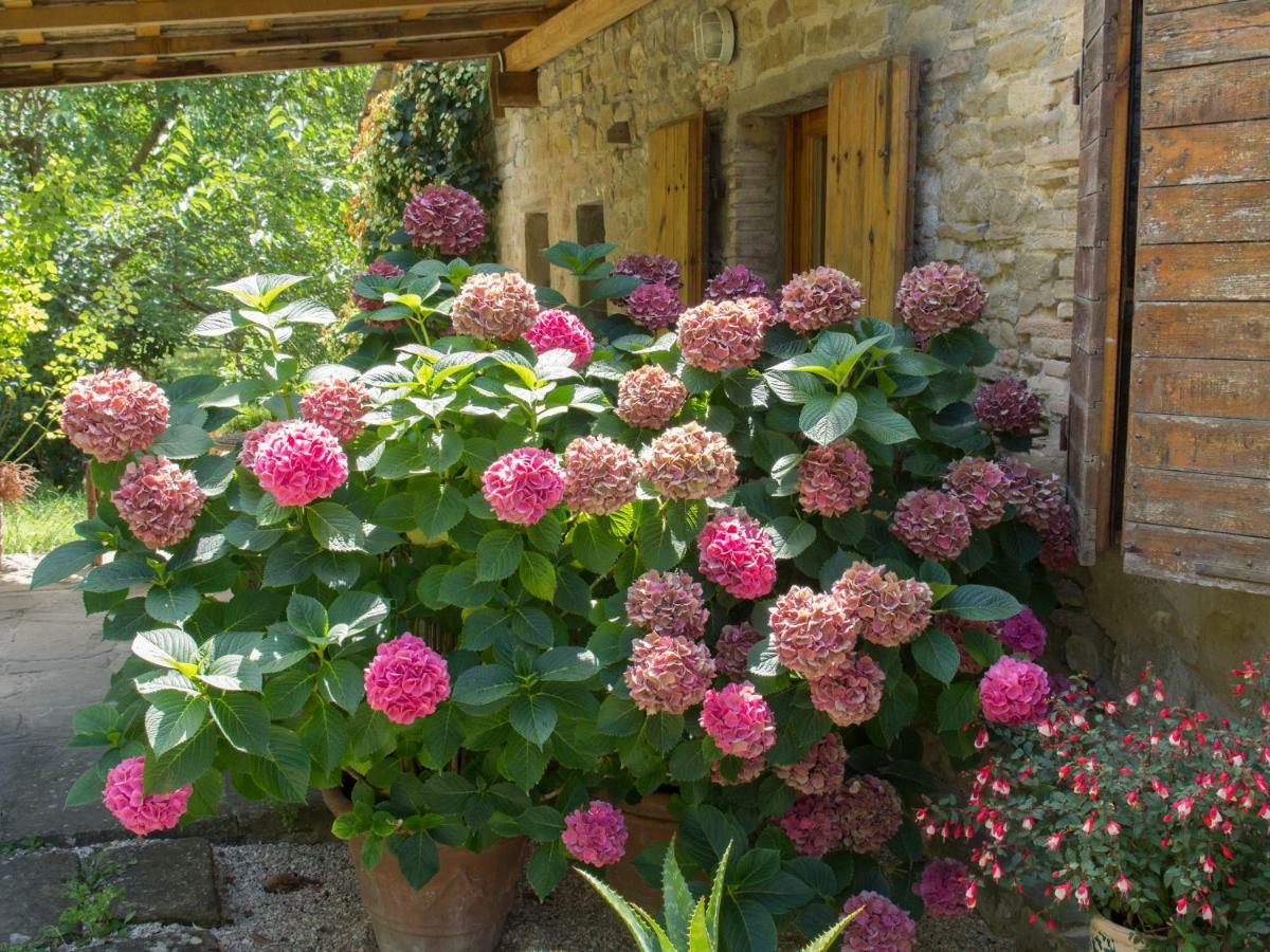 Casa La Valle, Gubbio, Frazione Santa Cristina Bed and Breakfast Exteriör bild
